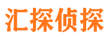 江阳市私家侦探